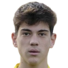 Meneghini