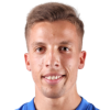 Vlajkovic