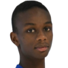 Avinci