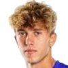 Polli