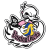 Vantaa Ducks