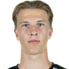 Hyrylainen