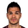 Ben Arfa