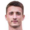 Mitrovic