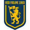 Figline