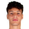 Vinzioli