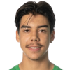 Figueiredo