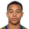 Magnusson