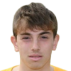 Raffaelli