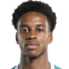 Diallo