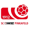 Pinkafeld (Aut)