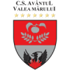participant