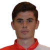 Mandic