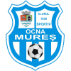 participant