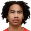 Ribeiro