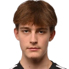 Lillemets