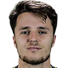 Sarkic