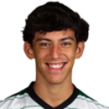 Canario