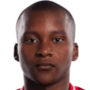 Tshobeni