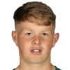 Swann