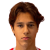Djuric D. (VIK)