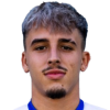de Palmas