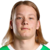 Pitkanen