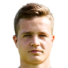 Skoflek