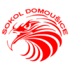 Domousice