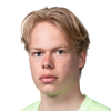 Jarvinen