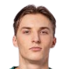 Kaulinis
