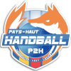 P2H Handball