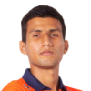 Quinones Goicochea