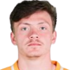Ibragimov