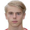 van der Wegen