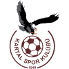 Kartalspor