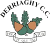 Derriaghy