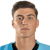 Nespola