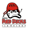 Red Ducks