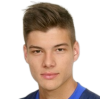 Vrljicak