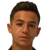 Berkovich