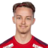 Magnusson