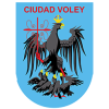 Ciudad Voley