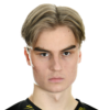 Henriksson