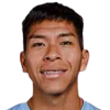 Vaca Moreno