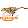 Cheetahs