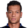 Guarin