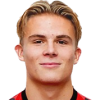 Zonneveld