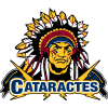 Shawinigan Cataractes