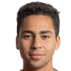 Dhaflaoui